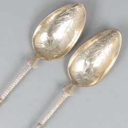 6-delige set lepels zilver.