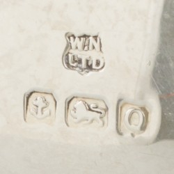 Strooibus zilver.