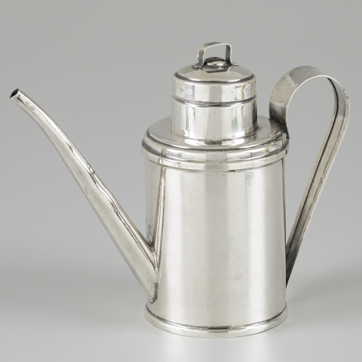 Kamerplanten-gieter zilver.