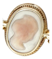 14 kt. Geelgouden vintage broche bezet met een parelmoer camee.