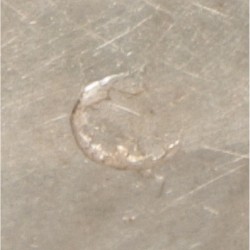 Pepermuntdoosje zilver.