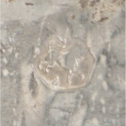 Pepermuntdoosje zilver.