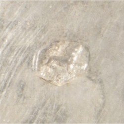 Pepermuntdoosje zilver.