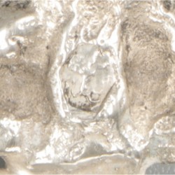 Gelegenheidslepel zilver.