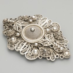 Gesp zilver.