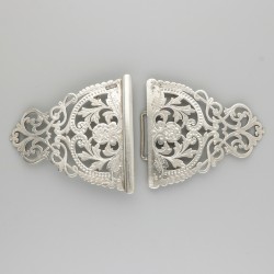 Gesp zilver.