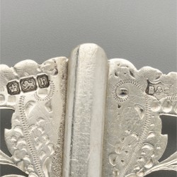 Gesp zilver.