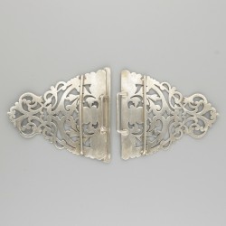 Gesp zilver.
