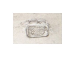 14 kt. Witgouden ring bezet met ca. 1.54 ct. smaragd en ca. 0.24 ct. diamant.