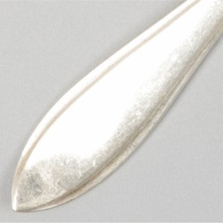 Gebak- & koekschep zilver.