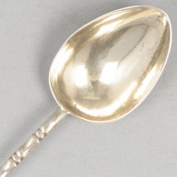 6-delige set theelepels BWG.