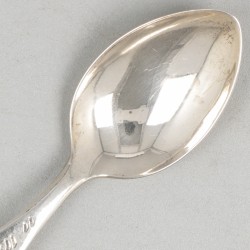 10-delige set theelepels zilver.