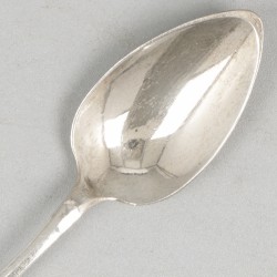 6-delige set theelepels zilver.