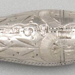 Tamboereernaald / haaknaald zilver.