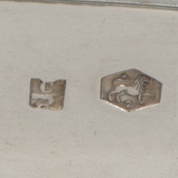 Luiertang zilver.
