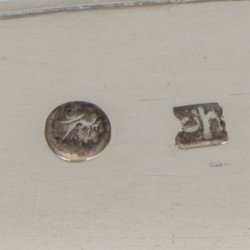 Luiertang zilver.
