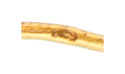 Antieke 14 kt. geelgouden reversspeld met een cantille hoefijzer.