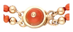 Tweerijige bloedkoralen armband met een 14 kt. geelgouden sluiting.