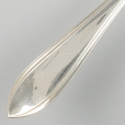 Visschep zilver.