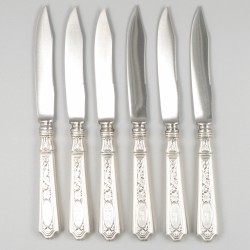 6-delige set messen zilver.