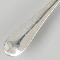 Visschep zilver.