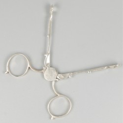 Suikertang zilver.