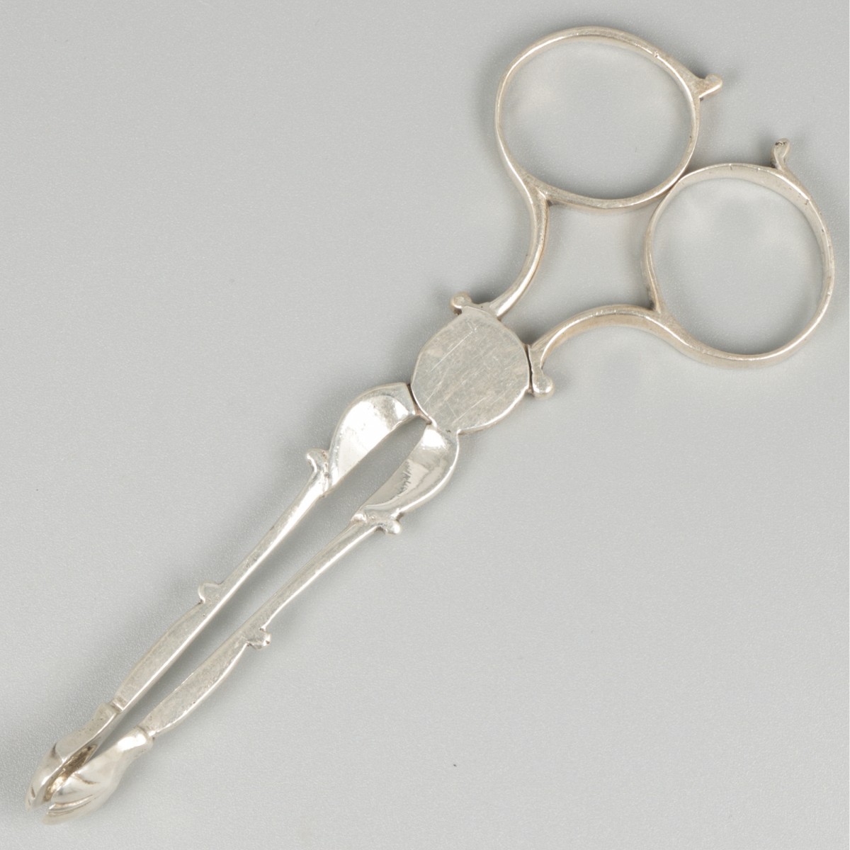 Suikertang zilver.
