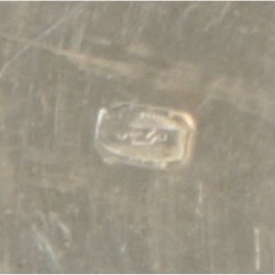 Druivenschaar zilver.