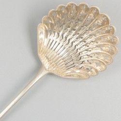 Strooilepel zilver.