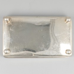 Theelepeldoos zilver.