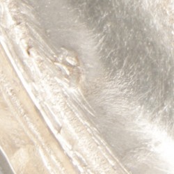 2-delige set zoutkelders (Brussel, J.C. Buls, ca. 1820) zilver.