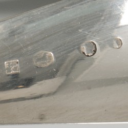 Strooilepel zilver.