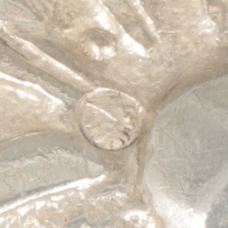 Gesp zilver.