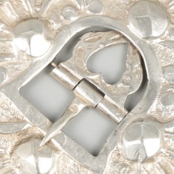 Gesp zilver.