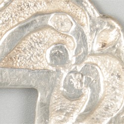 Gesp zilver.